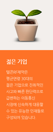 젊은 기업